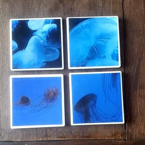 Jelly Fish Photo Coasters